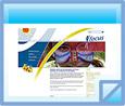 Stichting Focus - Sittard